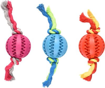 Flamingo Hondenspeelgoed dental bal met koord - Rood/Blauw/Roze - 20 x 7 x 7 cm