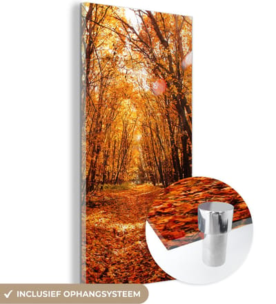 MuchoWow® Glasschilderij 20x40 cm - Schilderij acrylglas - Herfst - Bos - Bladeren - Seizoenen - Foto op glas - Schilderijen