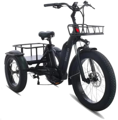 Diablo Big Foot - Fatbike Driewieler - Mat Zwart