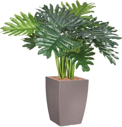 HTT - Kunstplant Philo Xanadu in Genesis vierkant taupe H90 cm