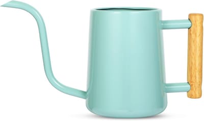 Metalen Gieter Binnenplanten met Lange Tuit - 1 Liter