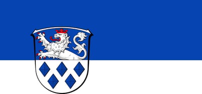 Vlag Riedstadt 100x150cm