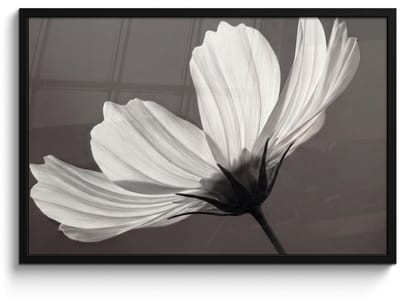Poster in lijst - Fotolijst 90x60 cm - Posters - Bloem - Minimalistisch - Zwart - Wit - Posterlijst zwart - Decoratie - Wanddecoratie woonkamer - Muurdecoratie slaapkamer