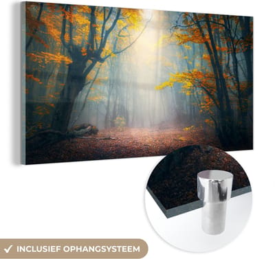 MuchoWow® Glasschilderij 40x20 cm - Schilderij acrylglas - Bos - Mist - Herfst - Foto op glas - Schilderijen