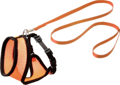 Flamingo Harnas met Looplijn "Harms" voor Katten – Oranje/Zwart – Geschikt voor Europese Korthaar, Britse Korthaar, Siamees, Bengaal – 32 cm Borstomvang