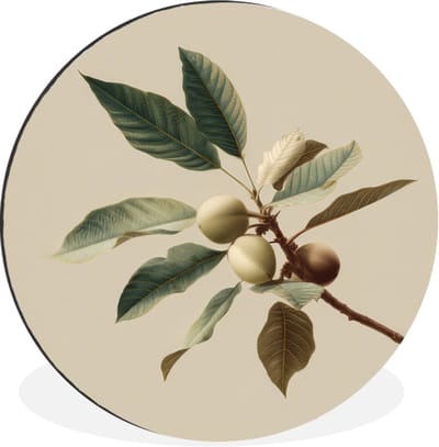 WallCircle - Wandcirkel - Muurcirkel - Tak - Groene Bladeren - Vruchten - Aluminium - Dibond - 30x30 cm - Binnen en Buiten