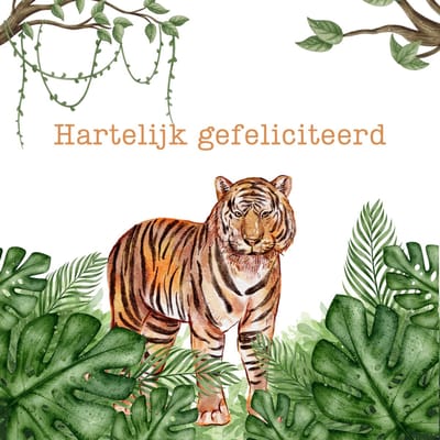 Wenskaart hartelijk gefeliciteerd tijger jungle – 13x13 cm – gevouwen kaart – inclusief witte envelop – stevig papier – felicitatiekaart