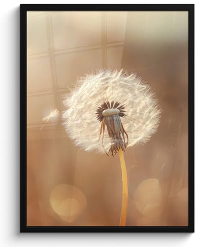 Poster in lijst - Fotolijst 50x70 cm - Posters - Paardenbloem - Beige - Natuur - Bloem - Posterlijst zwart - Decoratie - Wanddecoratie woonkamer - Muurdecoratie slaapkamer