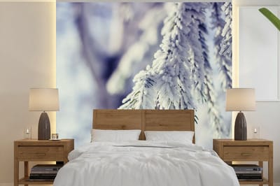 Behang - Fotobehang Winter - Dennenboom - Sneeuw - Landelijk - Breedte 350 cm x hoogte 350 cm