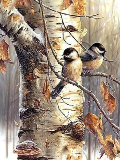 Vogeltjes in boom 40x50 - Diamond painting - compleet pakket - volledig beplakt - ronde steentjes