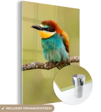 MuchoWow® Glasschilderij 30x40 cm - Schilderij acrylglas - Vogel - Bijeneter - Dieren - Foto op glas - Schilderijen