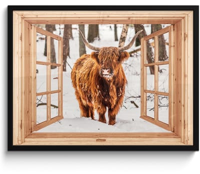 Poster in lijst - Fotolijst 70x50 cm - Posters - Schotse Hooglander - Winter - Landschap - Natuur - Dieren - Doorkijk - Posterlijst zwart - Decoratie - Wanddecoratie woonkamer - Muurdecoratie slaapkamer
