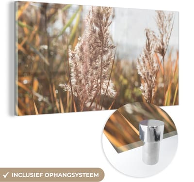 MuchoWow® Glasschilderij 40x20 cm - Schilderij acrylglas - Riet - Zon - Plant - Foto op glas - Schilderijen