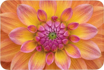 Badmat 90x60 cm - Antislip - Dahlia - Bloem - Oranje - Badmatten voor badkamer - Badkamermat - Douchemat - Badkamer mat