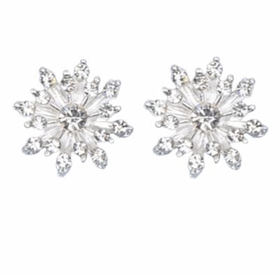 Oorbellen- Allegievrij- Emelia- Zilverkleur - Charme Bijoux