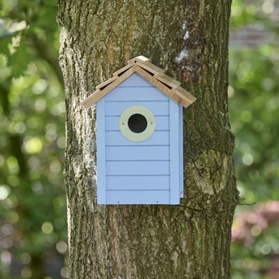 CJ Wildlife Nestkast voor Pimpelmees & Koolmees - Beach - Nestkastje - Houten Vogelhuisje - Lichtblauw