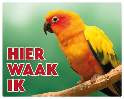 Zonparkiet Waakbord - Hier Waak Ik