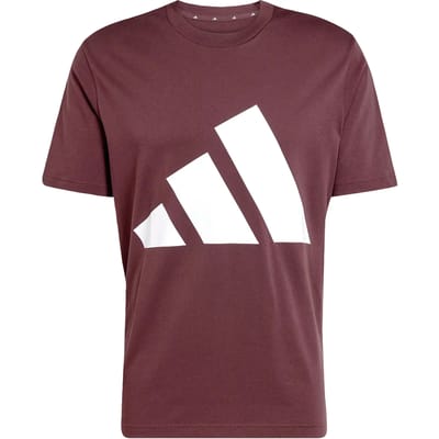 T-shirt van eenvoudige jersey adidas Essentials Big Logo