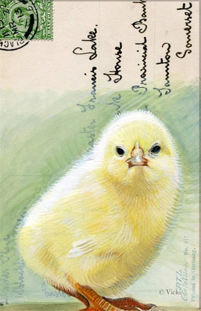 Dubbele kaart met env. Kuiken 11,5x17,5cm