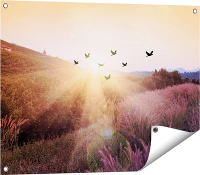 Gards Tuinposter Silhouet Zwerm Vogels bij Zonsondergang - 80x60 cm - Tuindoek - Tuindecoratie - Wanddecoratie buiten - Tuinschilderij