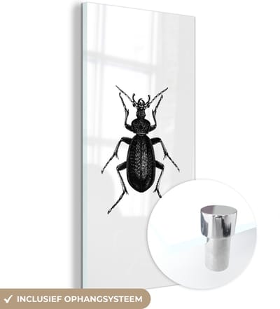 MuchoWow® Glasschilderij 20x40 cm - Schilderij acrylglas - Zwart wit - Kever - Vintage - Insecten - Foto op glas - Schilderijen