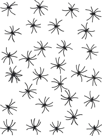 Vegaoo - Kleine decoratieve zwarte spinnen