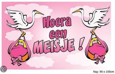 Geboortevlag Hoera een meisje