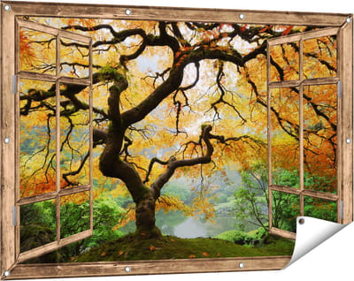 Gards Tuinposter Doorkijk Oude Knoestige Boom - 120x80 cm - Tuindoek - Tuindecoratie - Wanddecoratie buiten - Tuinschilderij