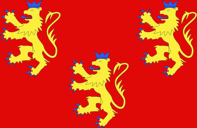 Vlag Dordogne 150x225cm