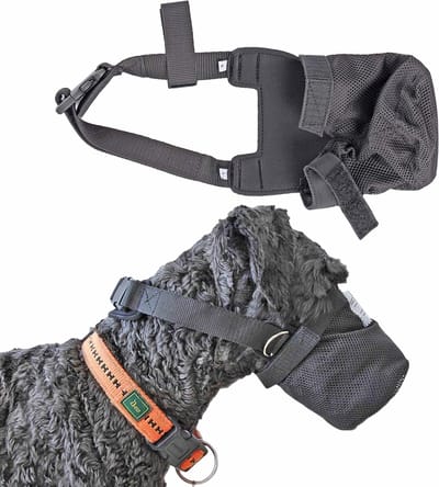 Hondenmuilkorf Neopreen - Hondenmasker - Wondbescherming - Verstelbaar Klittenband - Maat S