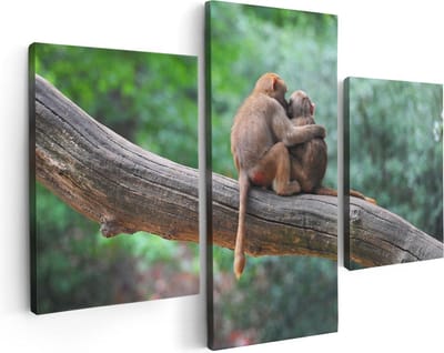 Artaza Canvas Schilderij Drieluik Twee Apen Vrienden Op Een Tak In Een Boom - 90x60 - Foto Op Canvas - Canvas Print