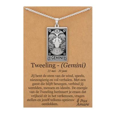 Sterrenbeeld Tweelingen (Gemini) Ketting op Cadeau Kaartje Zilverkleurig - Zodiac in de stijl van Rider-Waite Tarot - Roestvrij Staal / Stainless Steel - 60cm - Pax Amare