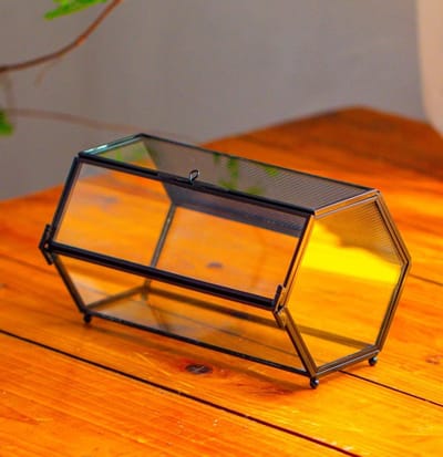 Mini Glazen Terrarium met Gaas en Deur voor Springende Spinnen - Hexagonaal Insectenhabitat 17.8 x 11.5 x 9.5 cm, Ideaal voor Planten, Decoratie en Dierenopvang