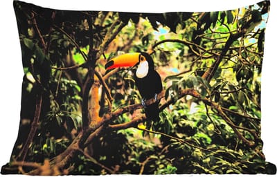 Buitenkussens - Tuin - Vogel - Toekan - Jungle - Natuur - Tropisch - 50x30 cm