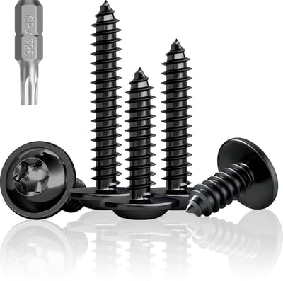 100x Zwarte Houtschroeven M5x25mm Platkop Lenskop Torx Tellerverzonken RVS A2 V2A