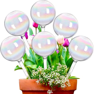 Planten Regenboog Waterballen - 6 PCS - Zelf Watergevende Stenen Voor Binnenplanten - Waterbollen Voor Vakantie Reizen - Voor Bloemen En Kamerplanten