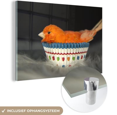 MuchoWow® Glasschilderij 150x100 cm - Schilderij acrylglas - Vogel - Cupcake vormpjes - Portret - Foto op glas - Schilderijen