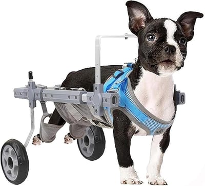 Huisdier Rolstoel - Honden Hulp - Mobiliteit Verbeteren - Verstelbare Aluminium Legering - Maat XS - Zilver