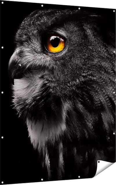 Gards Tuinposter Zwarte Uil met Gouden Ogen - 120x160 cm - Tuindoek - Tuindecoratie - Wanddecoratie buiten - Tuinschilderij