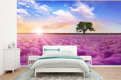 Behang - Fotobehang Lavendel - Boom - Zonsondergang - Paars - Breedte 375 cm x hoogte 280 cm