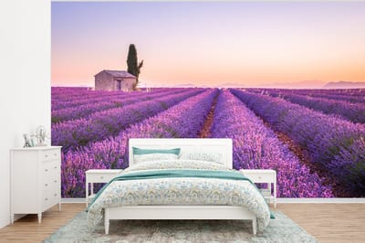 Behang - Fotobehang Lavendel - Zonsondergang - Paars - Bloemen - Breedte 375 cm x hoogte 280 cm