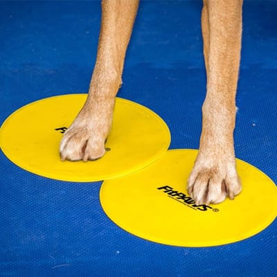 FitPAWS - Targets - 4 - st - geel - en - blauw