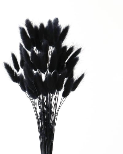 Dailygoods - Pampasgras, gedroogde bloemen, 45 cm, 60 stuks, gedroogde natuurlijke pampasgras, planten, pluizige droogbloemen (zwart)