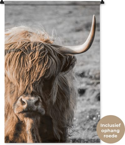 Wandkleed - Wanddoek - Schotse hooglander - Dier - Zon - 90x135 cm - Wandtapijt