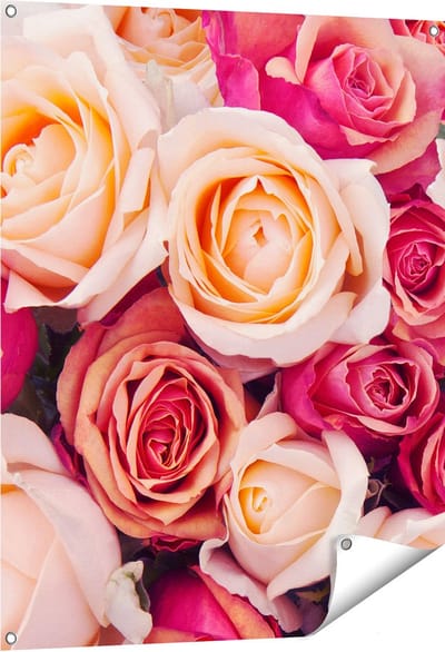 Gards Tuinposter Roze Rozen Achtergrond - Bloemen - 80x100 cm - Tuindoek - Tuindecoratie - Wanddecoratie buiten - Tuinschilderij