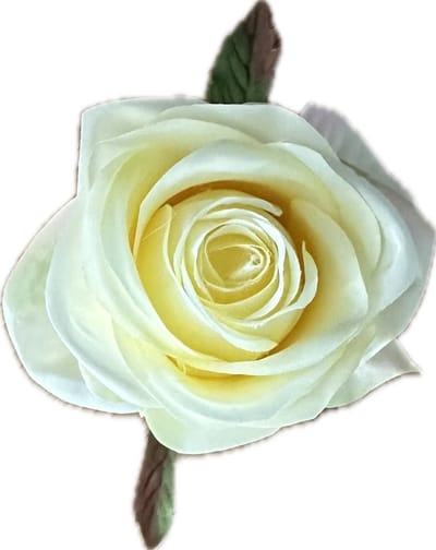 AMALIA GEEL KUNSTROZEN - Rozenkoppen 12 stuks - Mooie Kwaliteit Kunstbloemen - Nepbloemen - Rozen zonder Steltjes - Kunstbloemen voor Decoraties/ Versieringen - DIY Bloemen - Rozen voor de Bloemenmuur