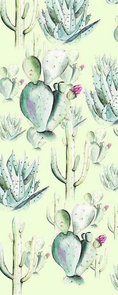 Fotobehang - Cactus Green 100x250cm - Vliesbehang