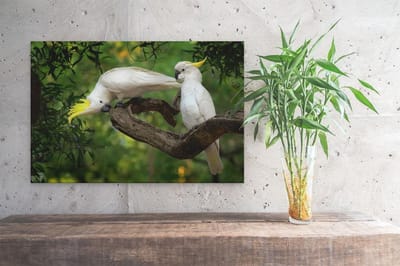 Artaza Canvas Schilderij Vogels Op Tak - 30x20 cm - Klein - Muurdecoratie Kaketoe - Wanddecoratie Dieren - Kamer Accessoires
