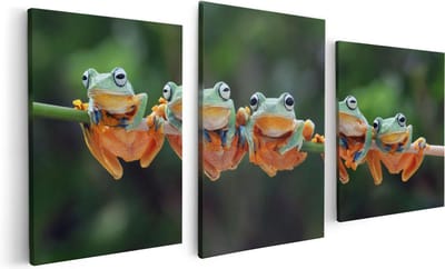 Artaza Canvas Schilderij Drieluik Groep Kikkers op een Tak - 120x60 - Foto Op Canvas - Canvas Print
