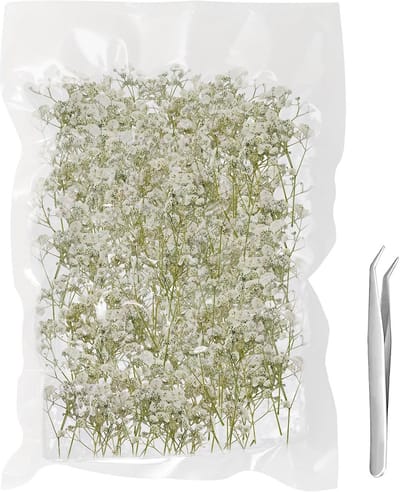 130 Gedroogde en Geperste Gipsophila Bloemen Wit - Natuurlijke Decoratie voor Resin Kunst, Kaarten en Bruiloft